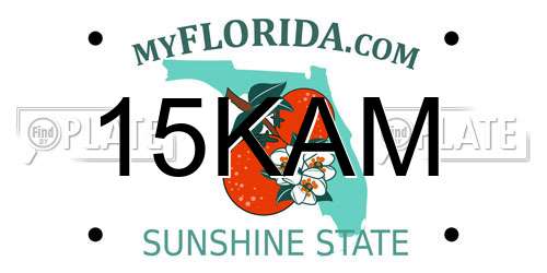 15KAM Florida License Plate