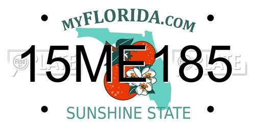 15ME185 Florida License Plate