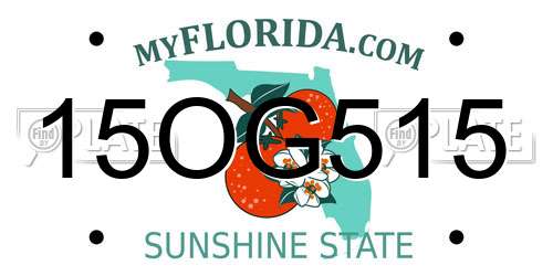 15OG515 Florida License Plate