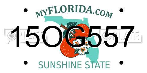 15OG557 Florida License Plate