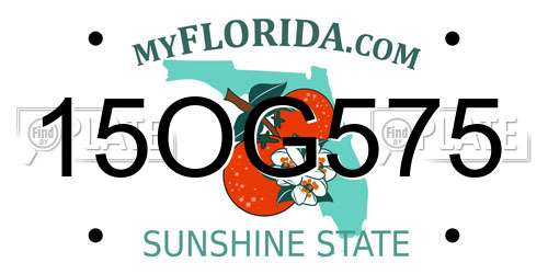 15OG575 Florida License Plate
