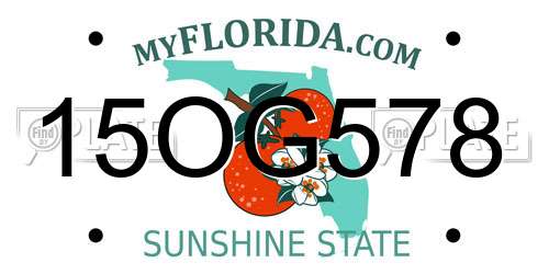 15OG578 Florida License Plate