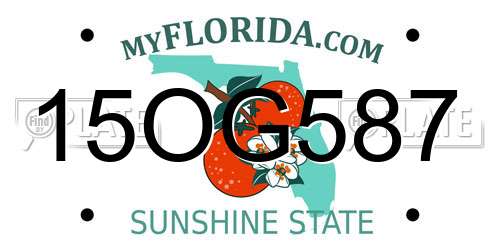 15OG587 Florida License Plate