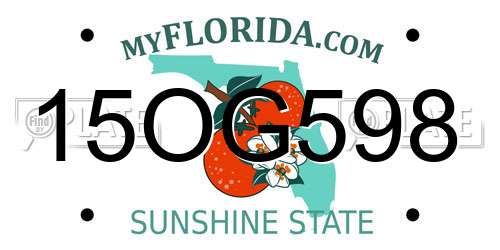 15OG598 Florida License Plate