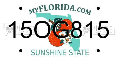 15OG815 Florida License Plate