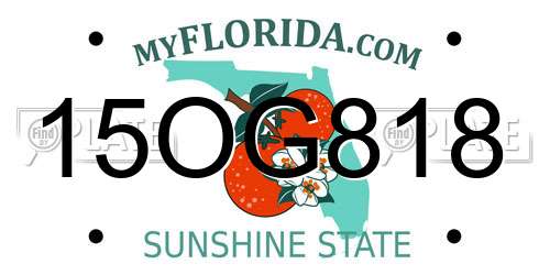 15OG818 Florida License Plate