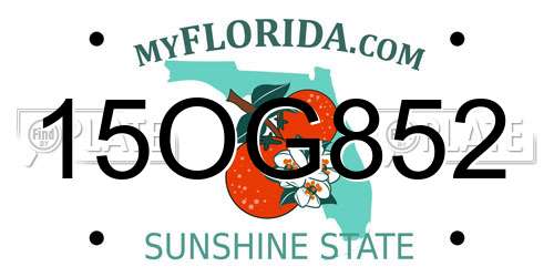 15OG852 Florida License Plate
