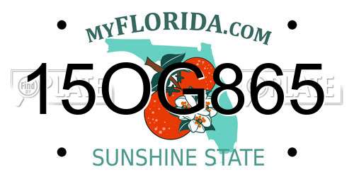 15OG865 Florida License Plate