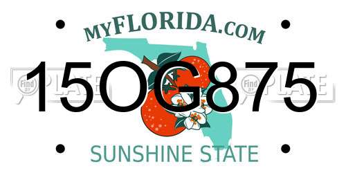 15OG875 Florida License Plate