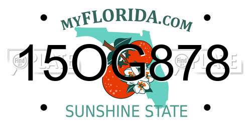 15OG878 Florida License Plate
