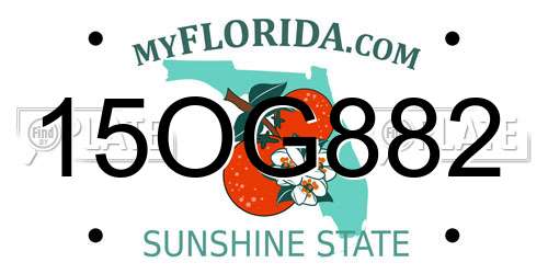 15OG882 Florida License Plate