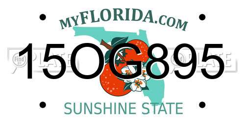 15OG895 Florida License Plate