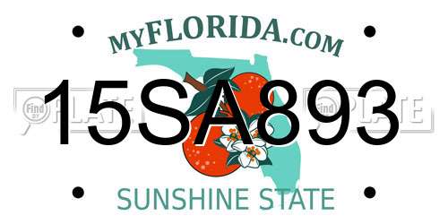 15SA893 Florida License Plate