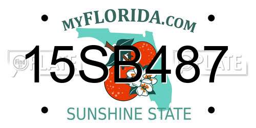 15SB487 Florida License Plate
