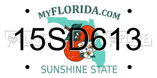 15SD613 Florida License Plate
