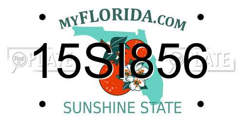 15SI856 Florida License Plate