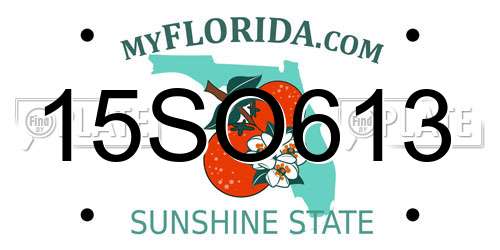 15SO613 Florida License Plate