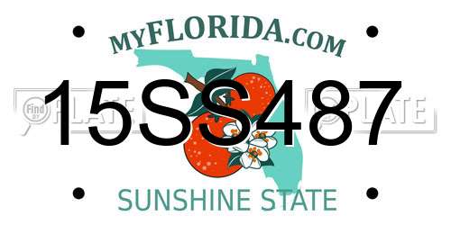 15SS487 Florida License Plate