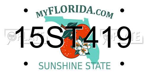 15ST419 Florida License Plate