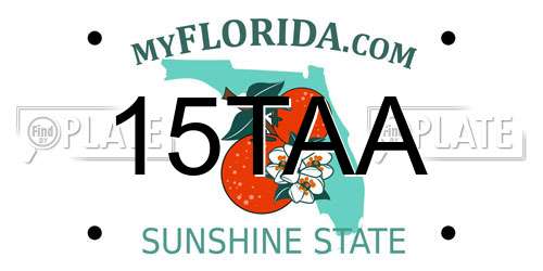 15TAA Florida License Plate