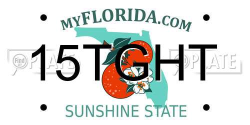 15TGHT Florida License Plate