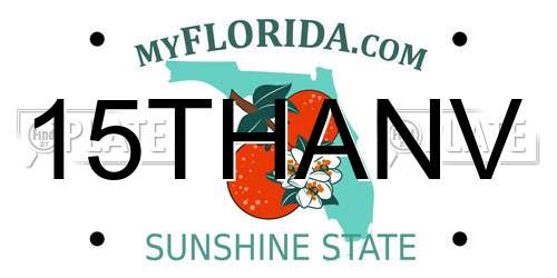 15THANV Florida License Plate