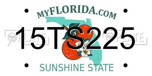 15TS225 Florida License Plate
