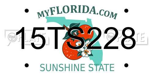 15TS228 Florida License Plate
