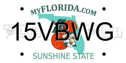 15VBWG Florida License Plate