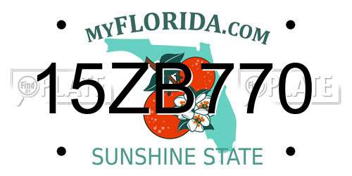 15ZB770 Florida License Plate