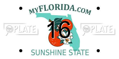 16 Florida License Plate