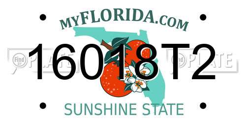 16018T2 Florida License Plate