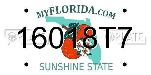 16018T7 Florida License Plate