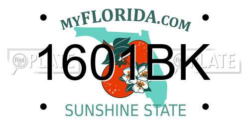 1601BK Florida License Plate