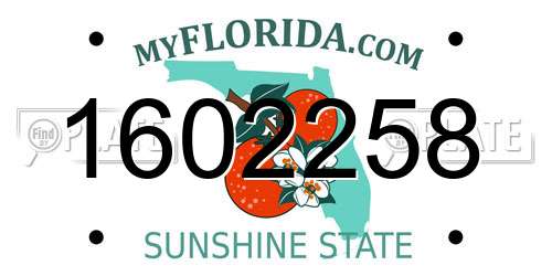 1602258 Florida License Plate