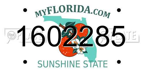 1602285 Florida License Plate