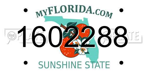 1602288 Florida License Plate