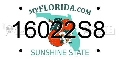 16022S8 Florida License Plate