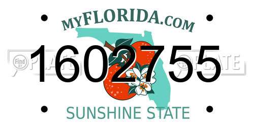 1602755 Florida License Plate