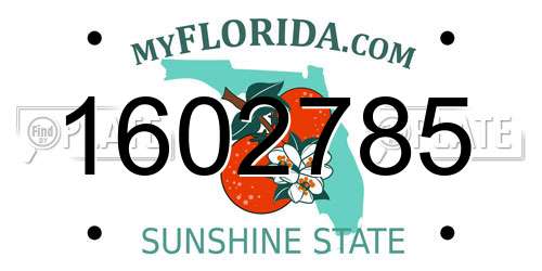 1602785 Florida License Plate