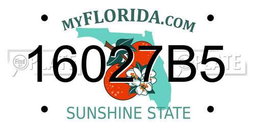 16027B5 Florida License Plate