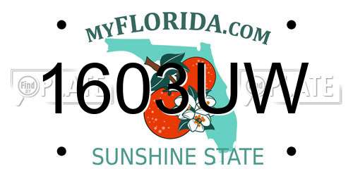 1603UW Florida License Plate