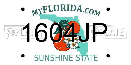 1604JP Florida License Plate
