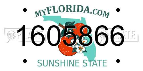 1605866 Florida License Plate