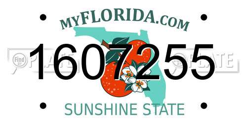 1607255 Florida License Plate