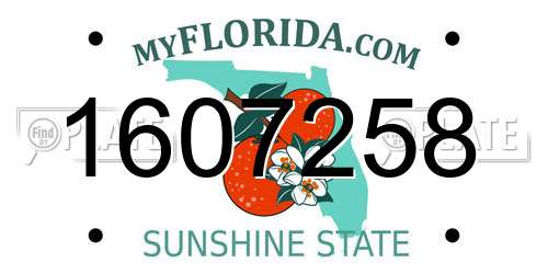 1607258 Florida License Plate