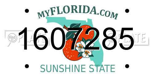 1607285 Florida License Plate