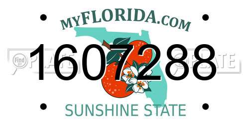 1607288 Florida License Plate