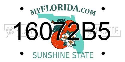 16072B5 Florida License Plate