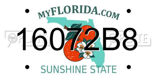 16072B8 Florida License Plate